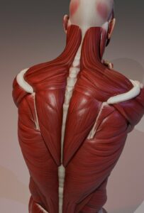 Person gently turning their neck beside a desk, with a simple cervical spine illustration in the background.